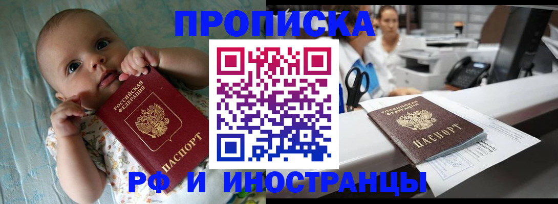 прописка поиск в Тереке